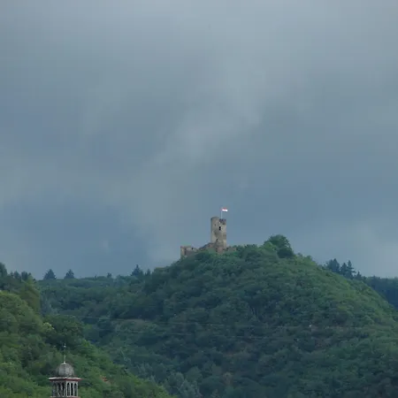 Elisabeth Кохем