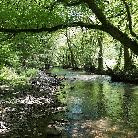 Elisabeth Гостевой дом Кохем