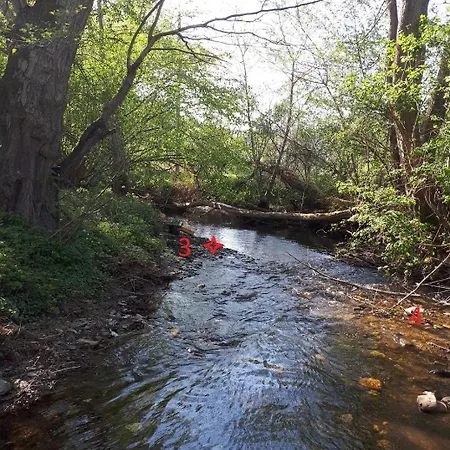 Elisabeth 게스트하우스 3*