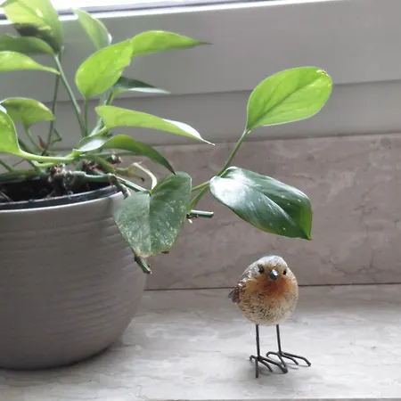 Elisabeth Gæstehus Cochem