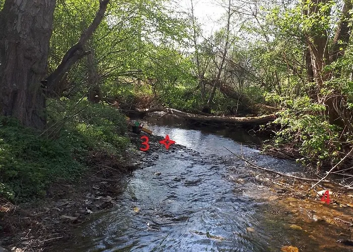 Elisabeth Гостевой дом 3*