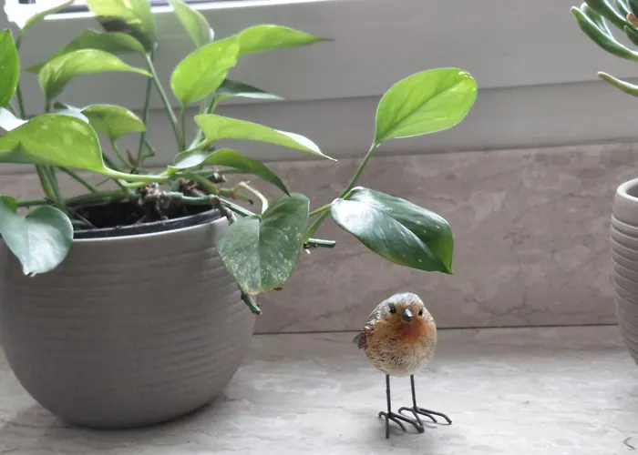 Elisabeth Gæstehus Cochem